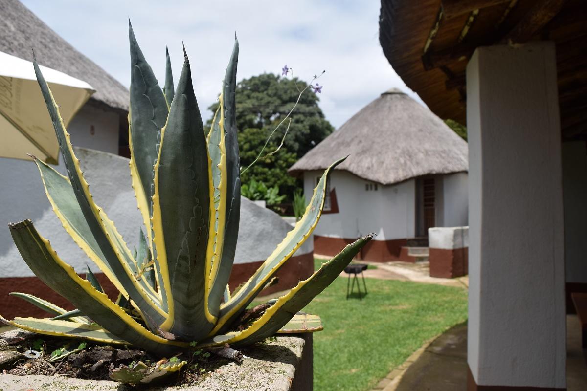 Sheri'S Lodge & Backpackers Graskop Exterior foto